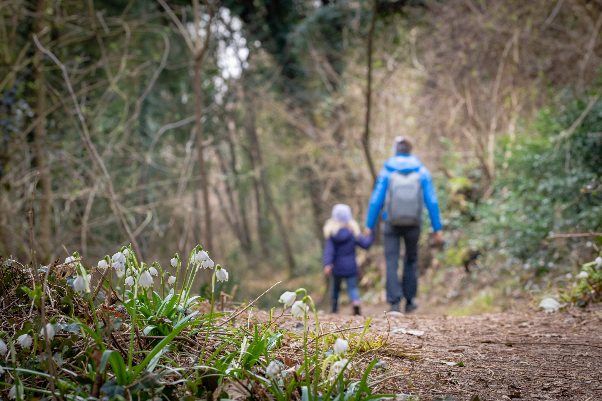 Wandern auf dem Mendelkamm