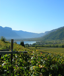 vista sul lago di Caldaro